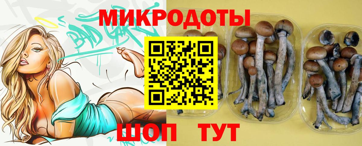 Видное  Псилоцибиновые грибы мухоморы  закладки  Вход с VPN 
